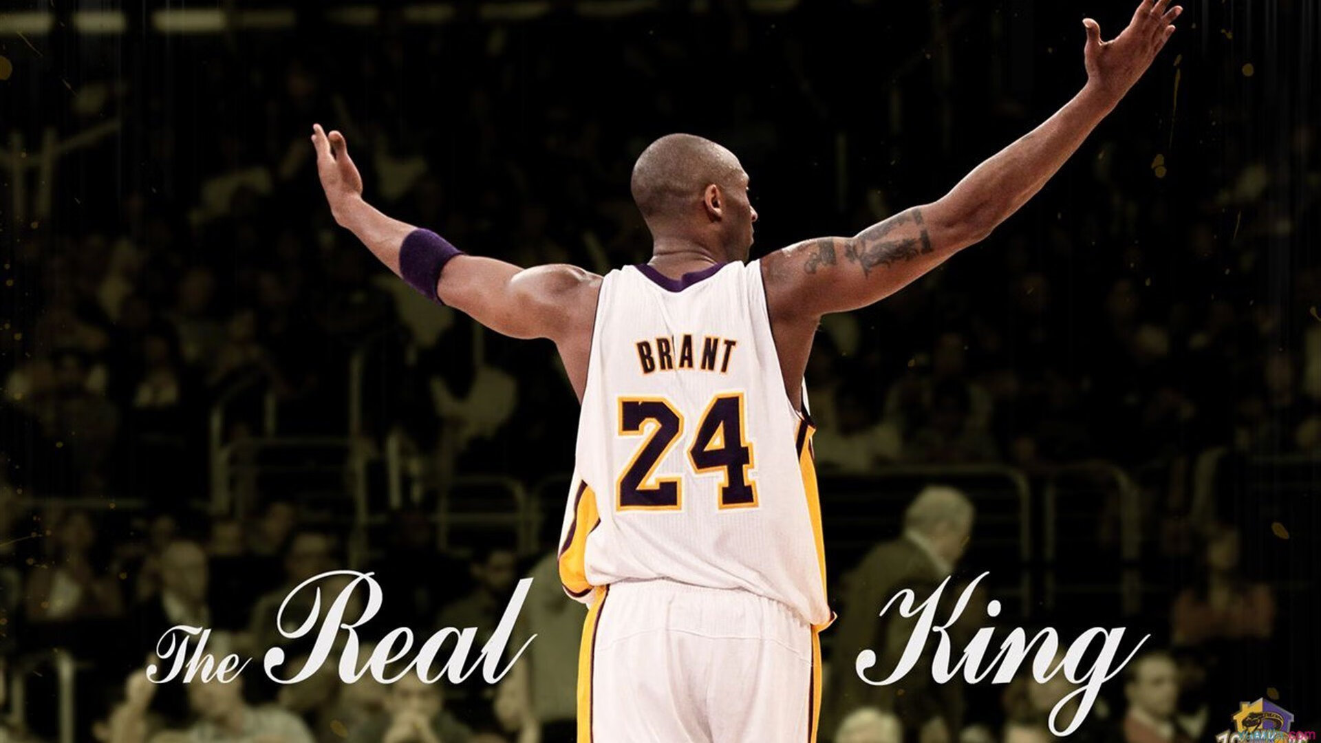 开云体育APP-全国青少年“篮球+智慧”创新论坛在北京盛大召开,智创未来新模式